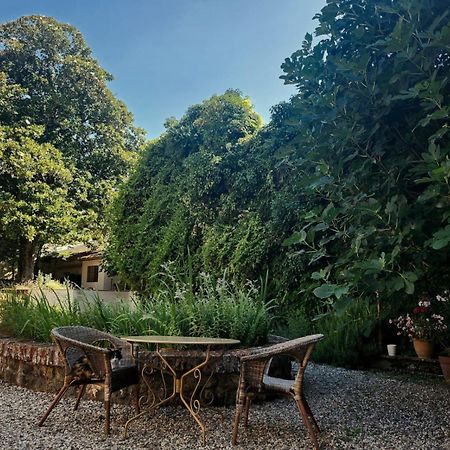 La Cour Verte Gaillac Exterior photo