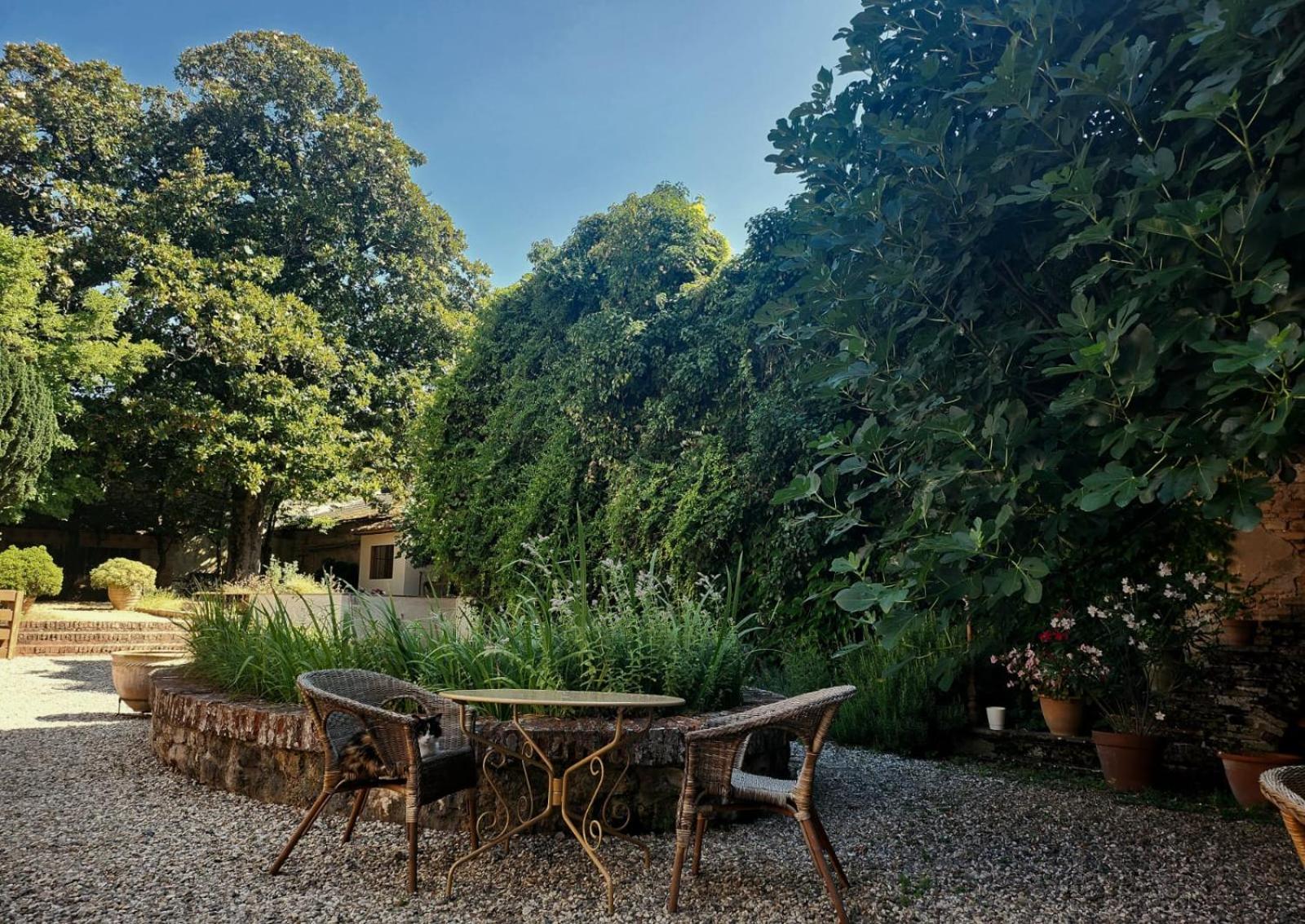 La Cour Verte Gaillac Exterior photo