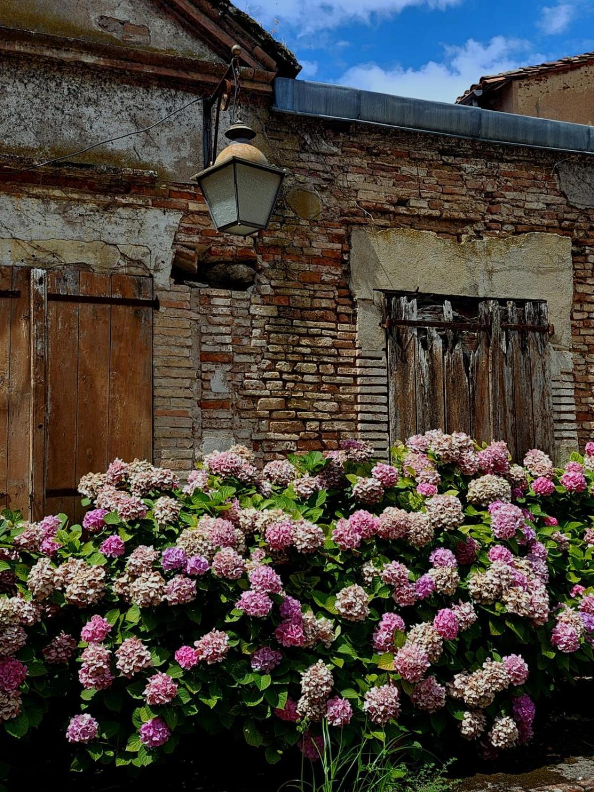 La Cour Verte Gaillac Exterior photo